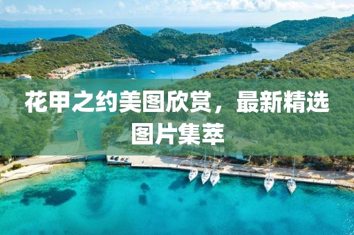 花甲之約美圖欣賞，最新精選圖片集萃