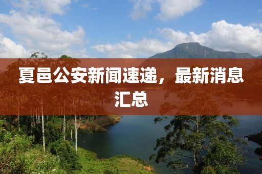 夏邑公安新聞速遞，最新消息匯總