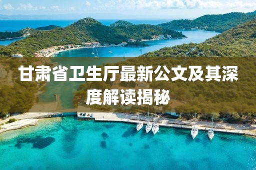 甘肅省衛(wèi)生廳最新公文及其深度解讀揭秘