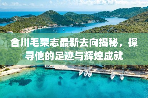 合川毛榮志最新去向揭秘，探尋他的足跡與輝煌成就