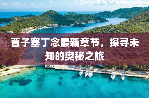 曹子塞丁念最新章節(jié)，探尋未知的奧秘之旅