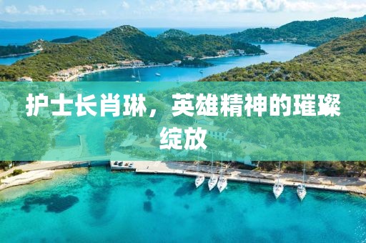 護士長肖琳，英雄精神的璀璨綻放