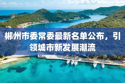 郴州市委常委最新名單公布，引領(lǐng)城市新發(fā)展潮流