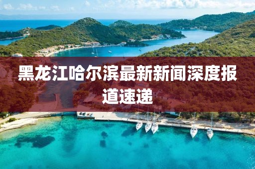 黑龍江哈爾濱最新新聞深度報(bào)道速遞