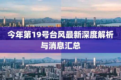 今年第19號(hào)臺(tái)風(fēng)最新深度解析與消息匯總