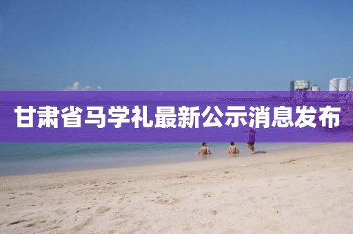 甘肅省馬學(xué)禮最新公示消息發(fā)布