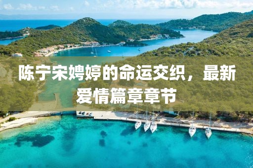 陳寧宋娉婷的命運(yùn)交織，最新愛情篇章章節(jié)