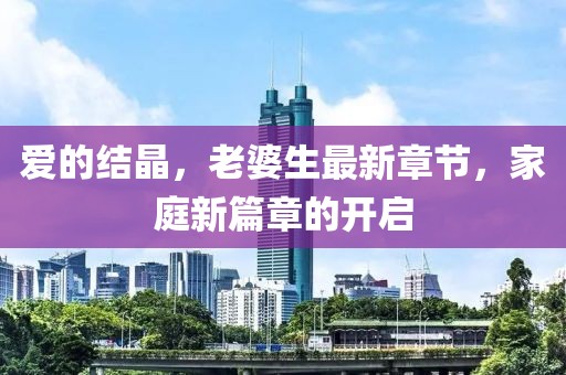 愛的結(jié)晶，老婆生最新章節(jié)，家庭新篇章的開啟