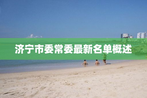 濟寧市委常委最新名單概述