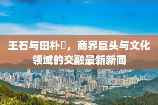王石與田樸琤，商界巨頭與文化領域的交融最新新聞