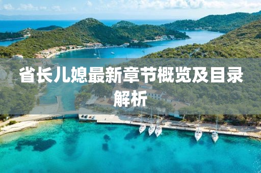 省長兒媳最新章節(jié)概覽及目錄解析
