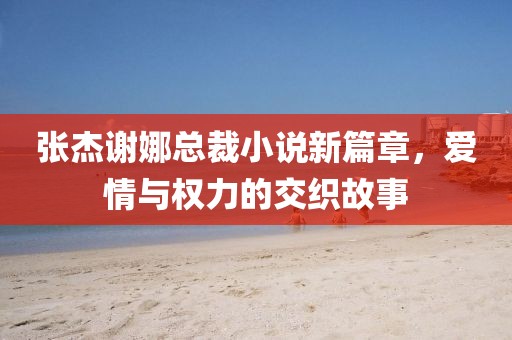 張杰謝娜總裁小說(shuō)新篇章，愛(ài)情與權(quán)力的交織故事