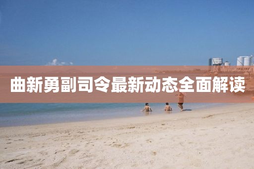 曲新勇副司令最新動態(tài)全面解讀