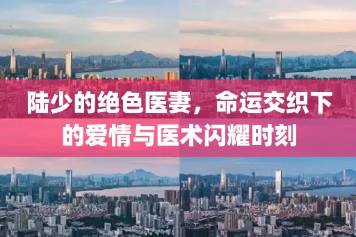 陸少的絕色醫(yī)妻，命運交織下的愛情與醫(yī)術(shù)閃耀時刻