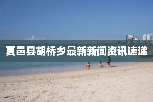 夏邑縣胡橋鄉(xiāng)最新新聞資訊速遞