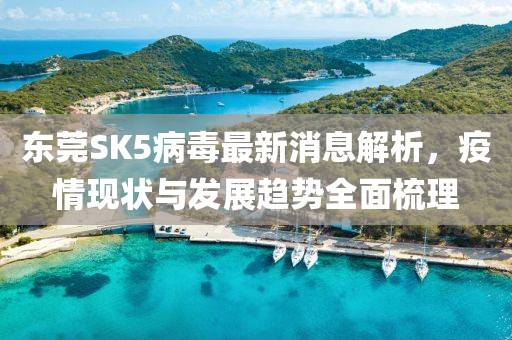 東莞SK5病毒最新消息解析，疫情現(xiàn)狀與發(fā)展趨勢(shì)全面梳理