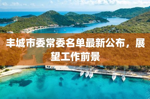 豐城市委常委名單最新公布，展望工作前景