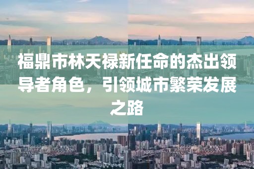 福鼎市林天祿新任命的杰出領(lǐng)導者角色，引領(lǐng)城市繁榮發(fā)展之路