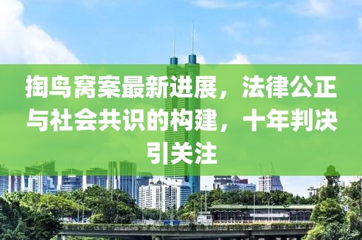 掏鳥窩案最新進(jìn)展，法律公正與社會共識的構(gòu)建，十年判決引關(guān)注