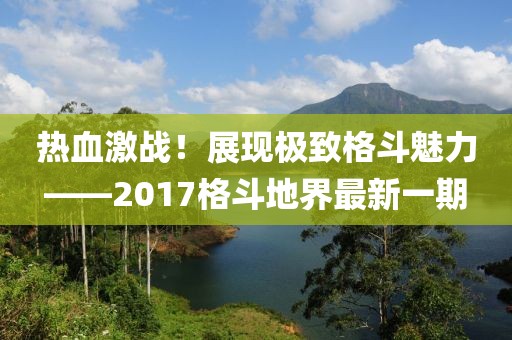 熱血激戰(zhàn)！展現(xiàn)極致格斗魅力——2017格斗地界最新一期