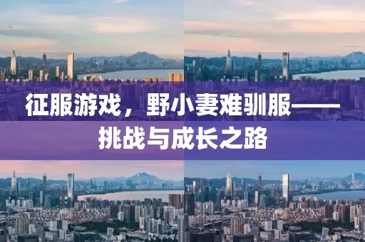 征服游戲，野小妻難馴服——挑戰(zhàn)與成長之路