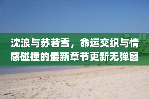 沈浪與蘇若雪，命運(yùn)交織與情感碰撞的最新章節(jié)更新無(wú)彈窗