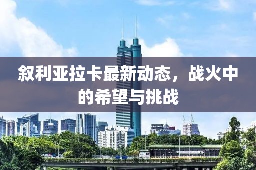 敘利亞拉卡最新動態(tài)，戰(zhàn)火中的希望與挑戰(zhàn)