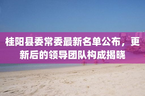 桂陽縣委常委最新名單公布，更新后的領(lǐng)導(dǎo)團(tuán)隊(duì)構(gòu)成揭曉