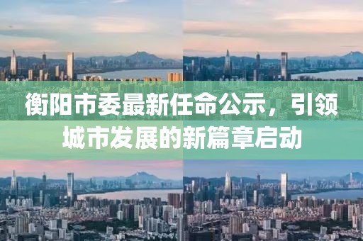 衡陽市委最新任命公示，引領城市發(fā)展的新篇章啟動