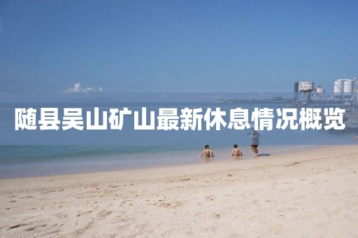 隨縣吳山礦山最新休息情況概覽