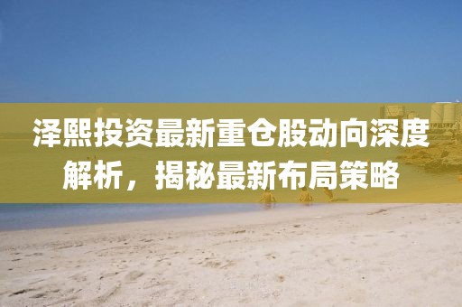 澤熙投資最新重倉股動向深度解析，揭秘最新布局策略