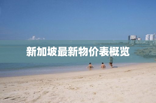 新加坡最新物價表概覽