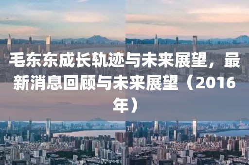 毛東東成長軌跡與未來展望，最新消息回顧與未來展望（2016年）