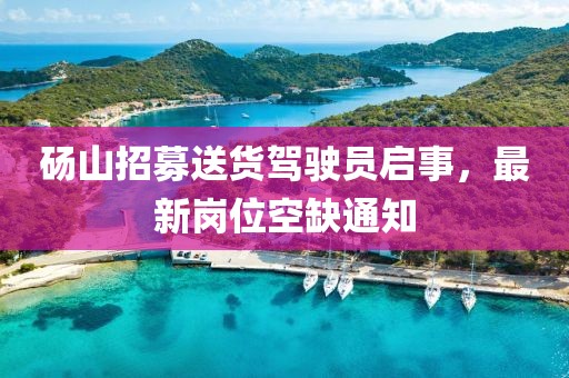 碭山招募送貨駕駛員啟事，最新崗位空缺通知