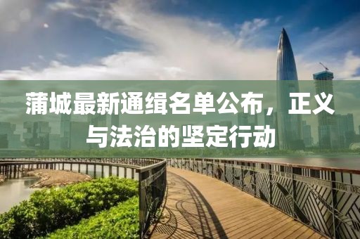 蒲城最新通緝名單公布，正義與法治的堅定行動