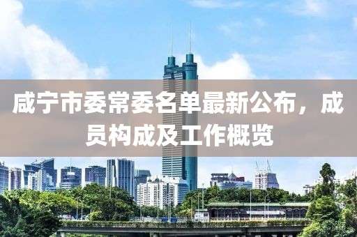 咸寧市委常委名單最新公布，成員構(gòu)成及工作概覽