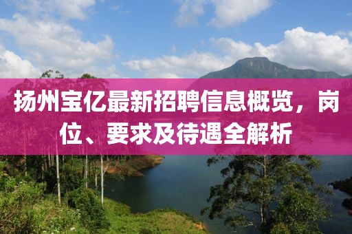 揚(yáng)州寶億最新招聘信息概覽，崗位、要求及待遇全解析