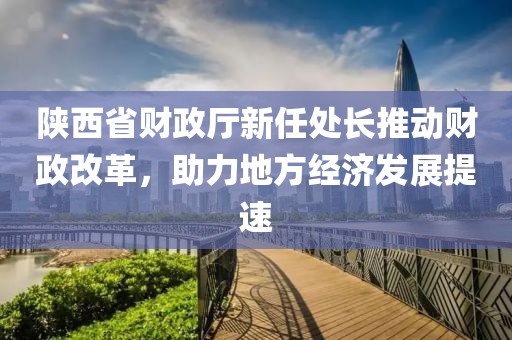 陜西省財(cái)政廳新任處長(zhǎng)推動(dòng)財(cái)政改革，助力地方經(jīng)濟(jì)發(fā)展提速