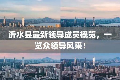 沂水縣最新領(lǐng)導(dǎo)成員概覽，一覽眾領(lǐng)導(dǎo)風(fēng)采！