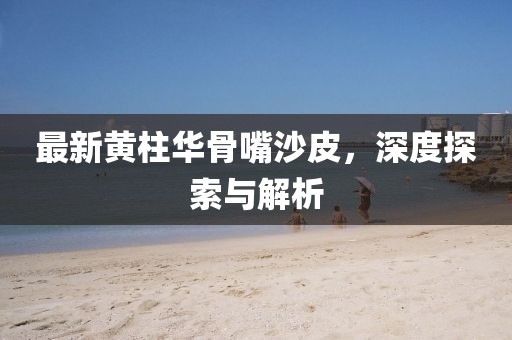 最新黃柱華骨嘴沙皮，深度探索與解析