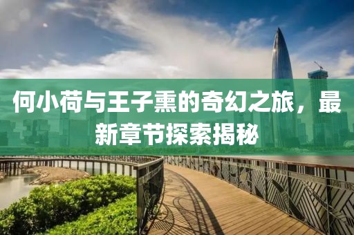 何小荷與王子熏的奇幻之旅，最新章節(jié)探索揭秘