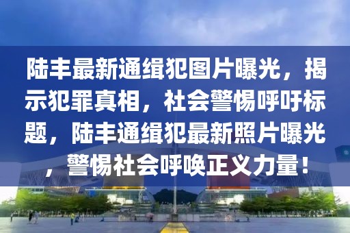 陸豐最新通緝犯圖片曝光，揭示犯罪真相，社會(huì)警惕呼吁標(biāo)題，陸豐通緝犯最新照片曝光，警惕社會(huì)呼喚正義力量！