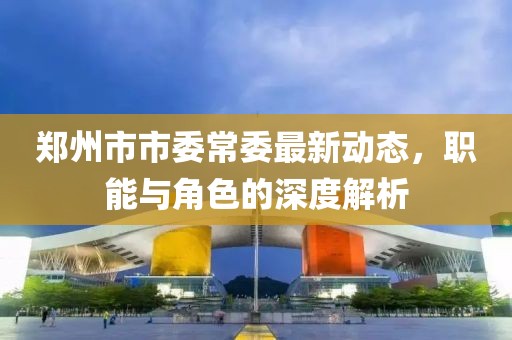 鄭州市市委常委最新動態(tài)，職能與角色的深度解析