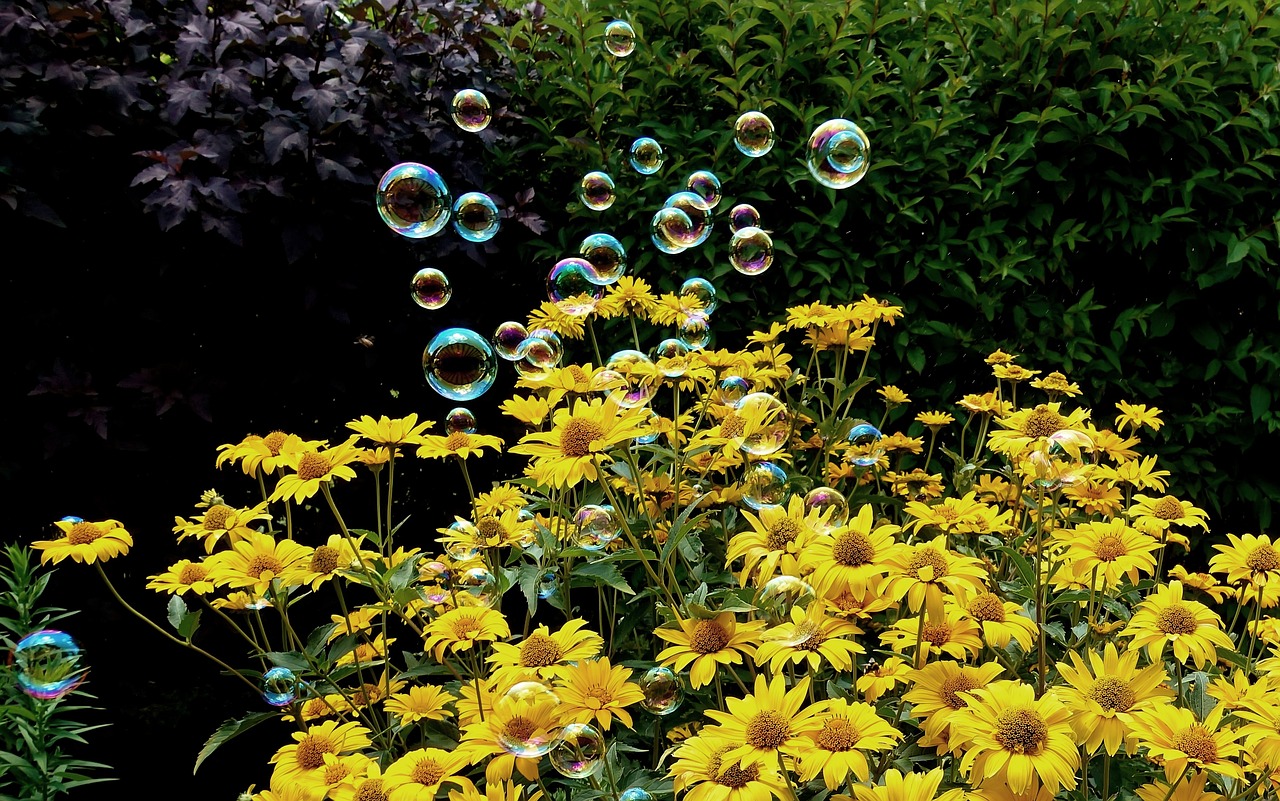 祥臨鐵路最新動(dòng)態(tài)解析，全面解讀最新消息