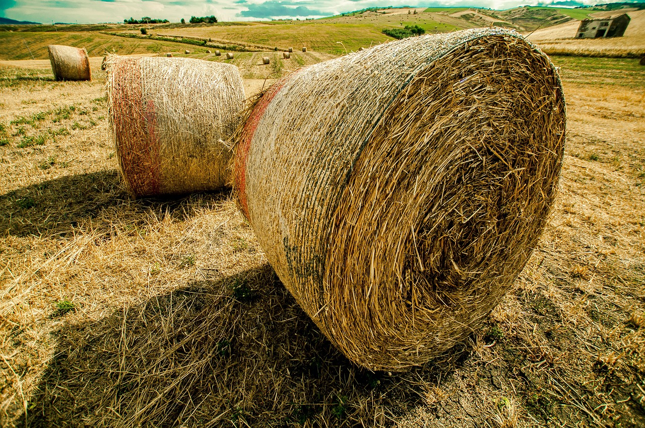 李立囯部長引領(lǐng)變革，最新動態(tài)更新，邁向新的征程