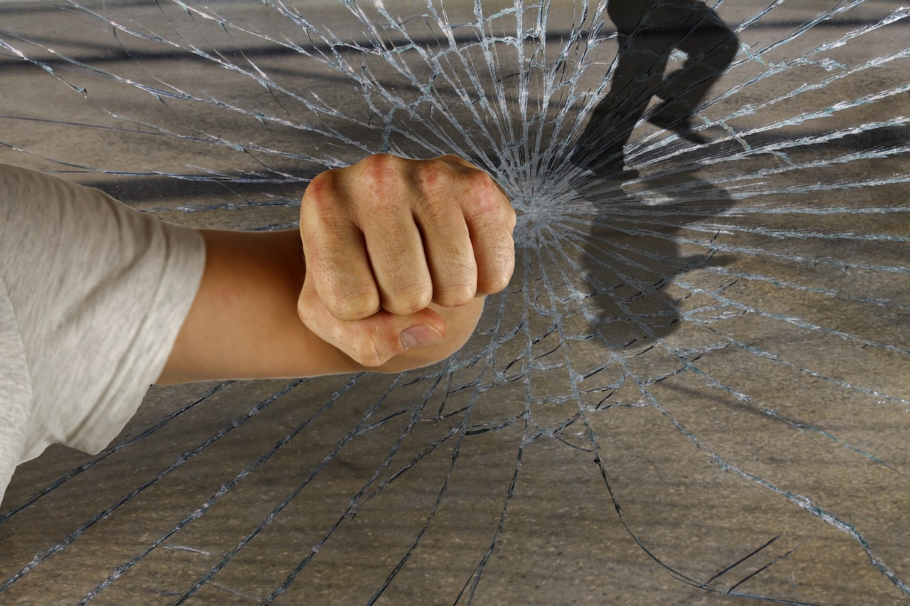 龍的世界最新破解版，警示違法犯罪的虛擬世界風(fēng)險揭秘