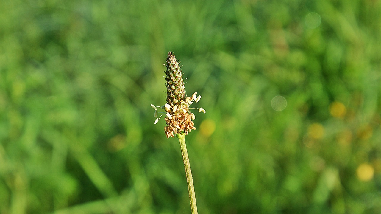 泰安南湖麗景最新動態(tài)揭秘，城市新篇章的璀璨綻放