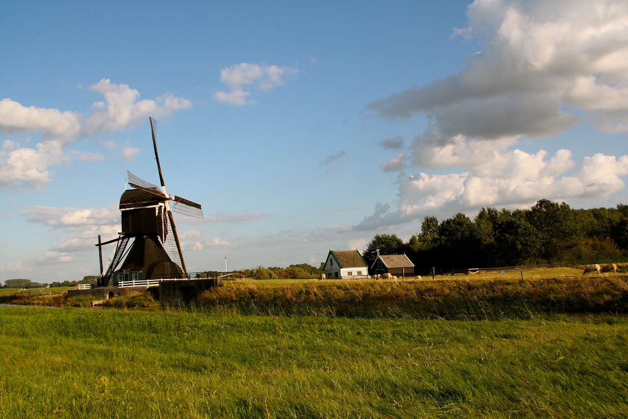 沙鍋村改造最新動態(tài)，重塑鄉(xiāng)村風(fēng)貌，引領(lǐng)鄉(xiāng)村振興之路