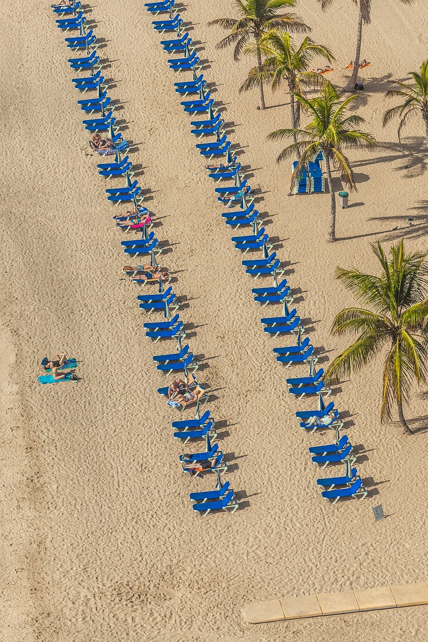 愛口袋最新版下載探索，最新體驗之旅