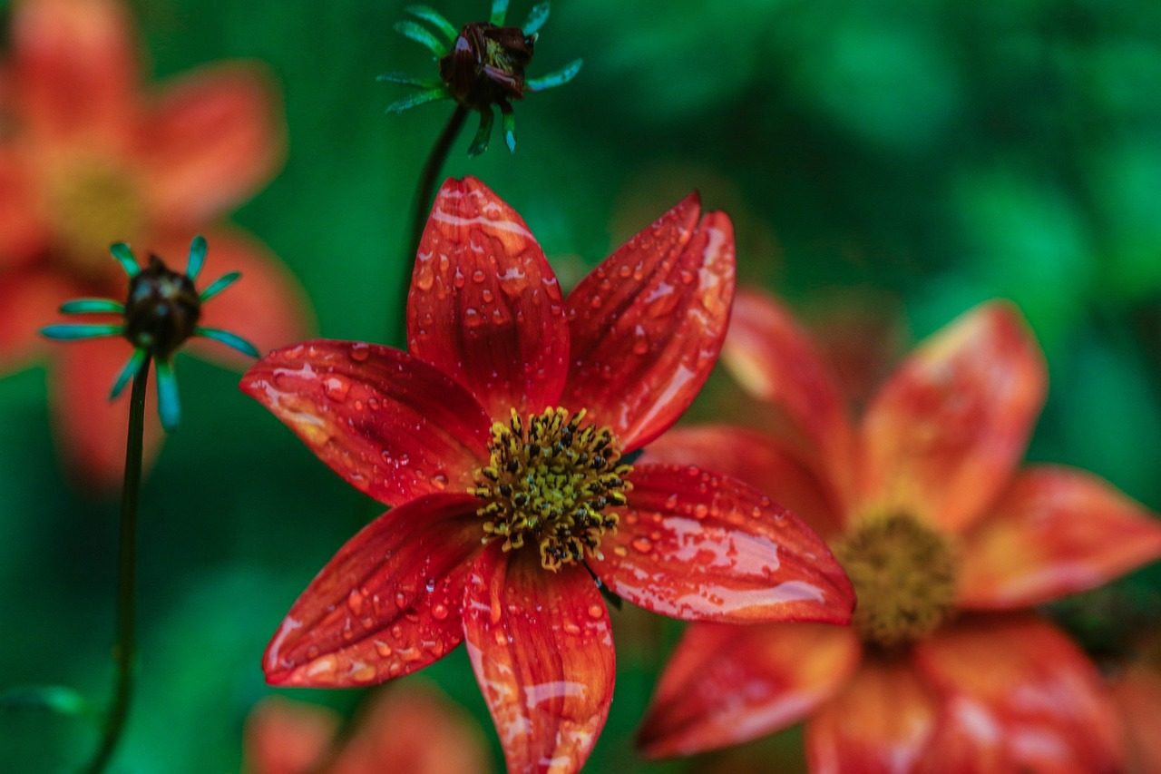 望都瑪?shù)旅甲钚聞?dòng)態(tài)揭秘，未來生活的序幕開啟